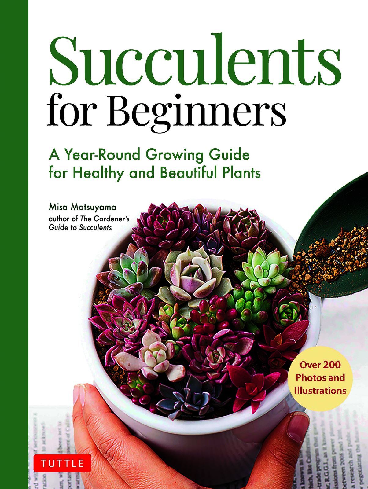 Wholesale Succulents for Beginners: A Year-Round Growing Guide for ...