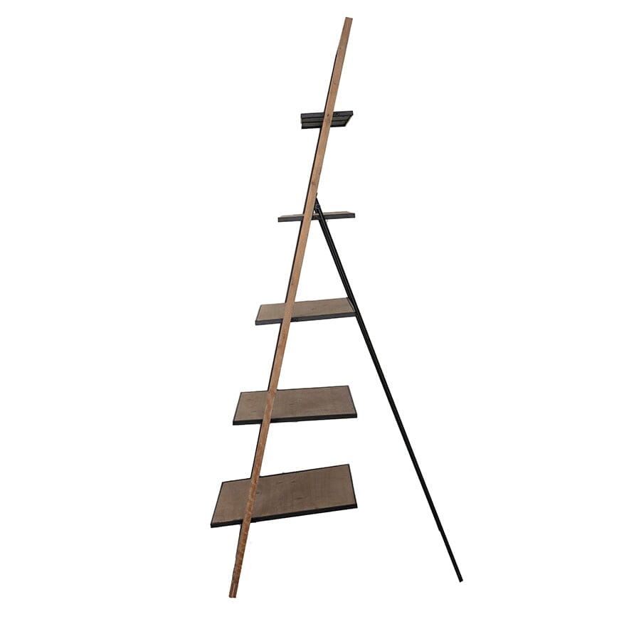 STEP LADDER BOOKSHELF