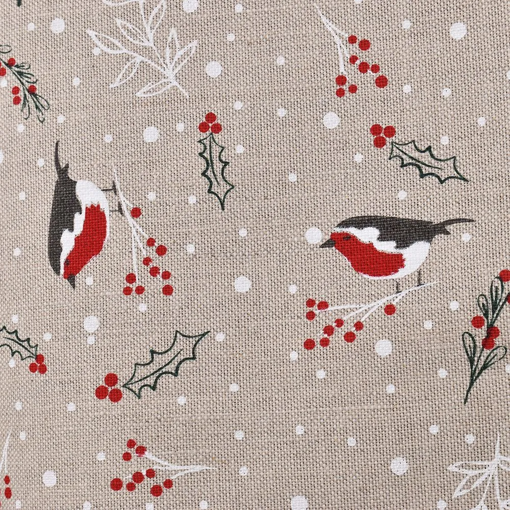 Christmas Robin