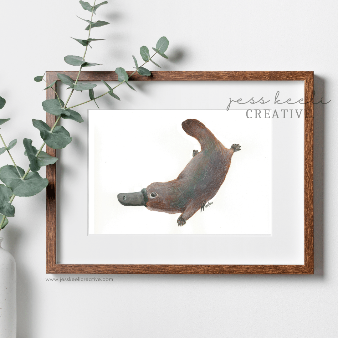 PATRICIA - Platypus