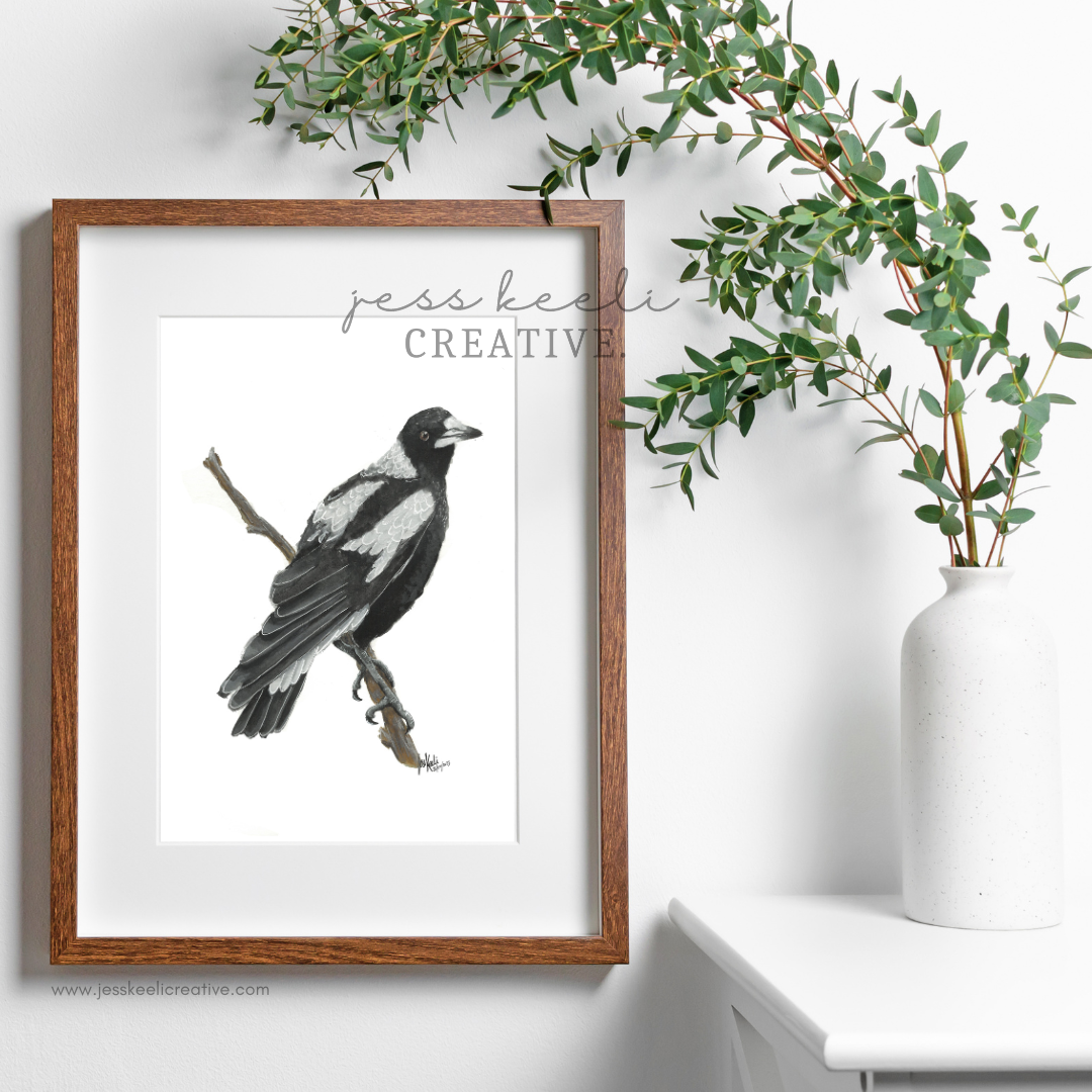 MAGGIE - Australian Magpie