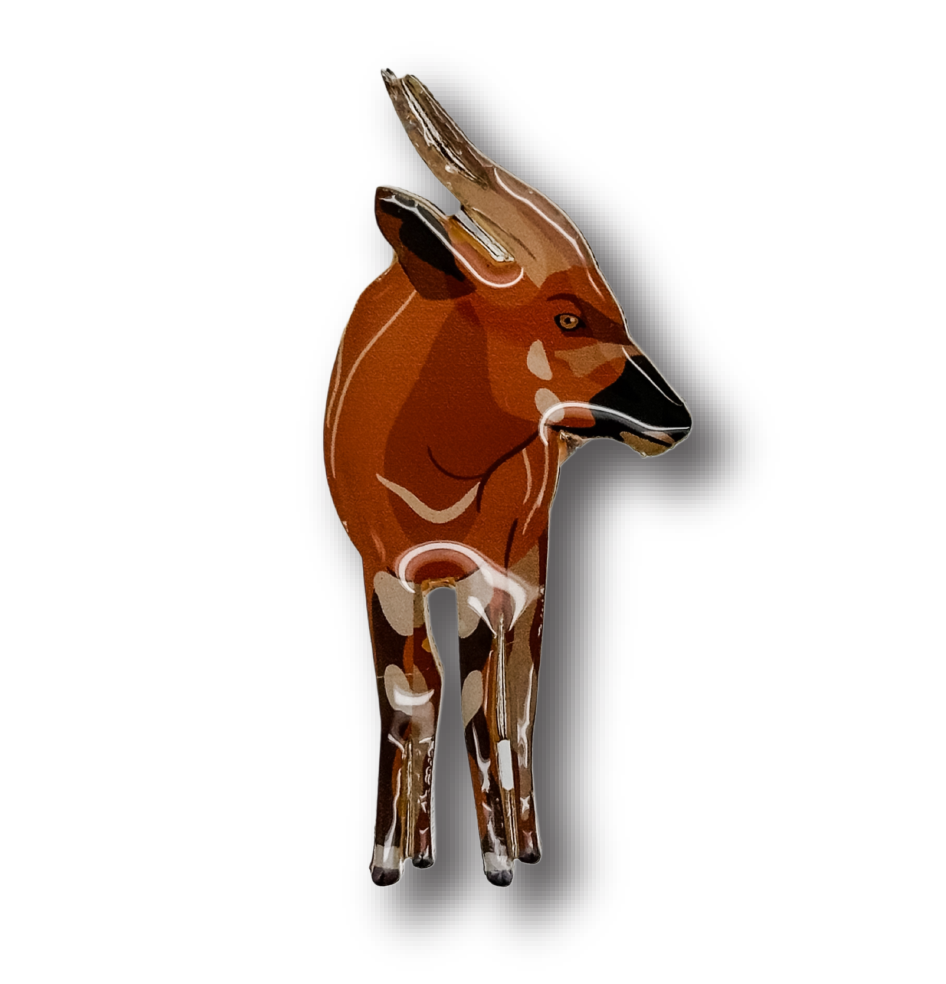 Bongo II Brooch