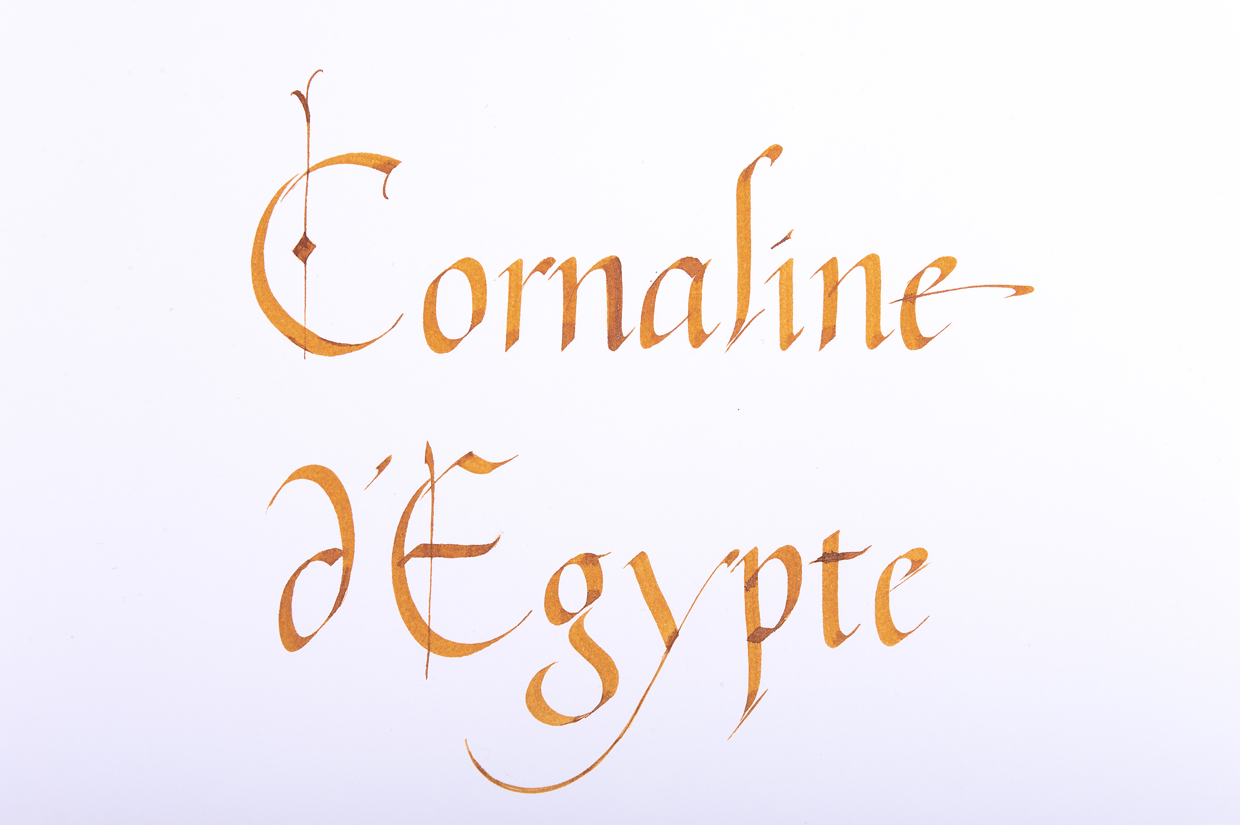 Jacques Herbin 1798 Collection Writing Ink 50ml - Coraline D'Egypte (Cornelian of Egypt)