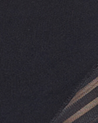 Lace Stripe Undetectable Seamless Shaping Brief In Black