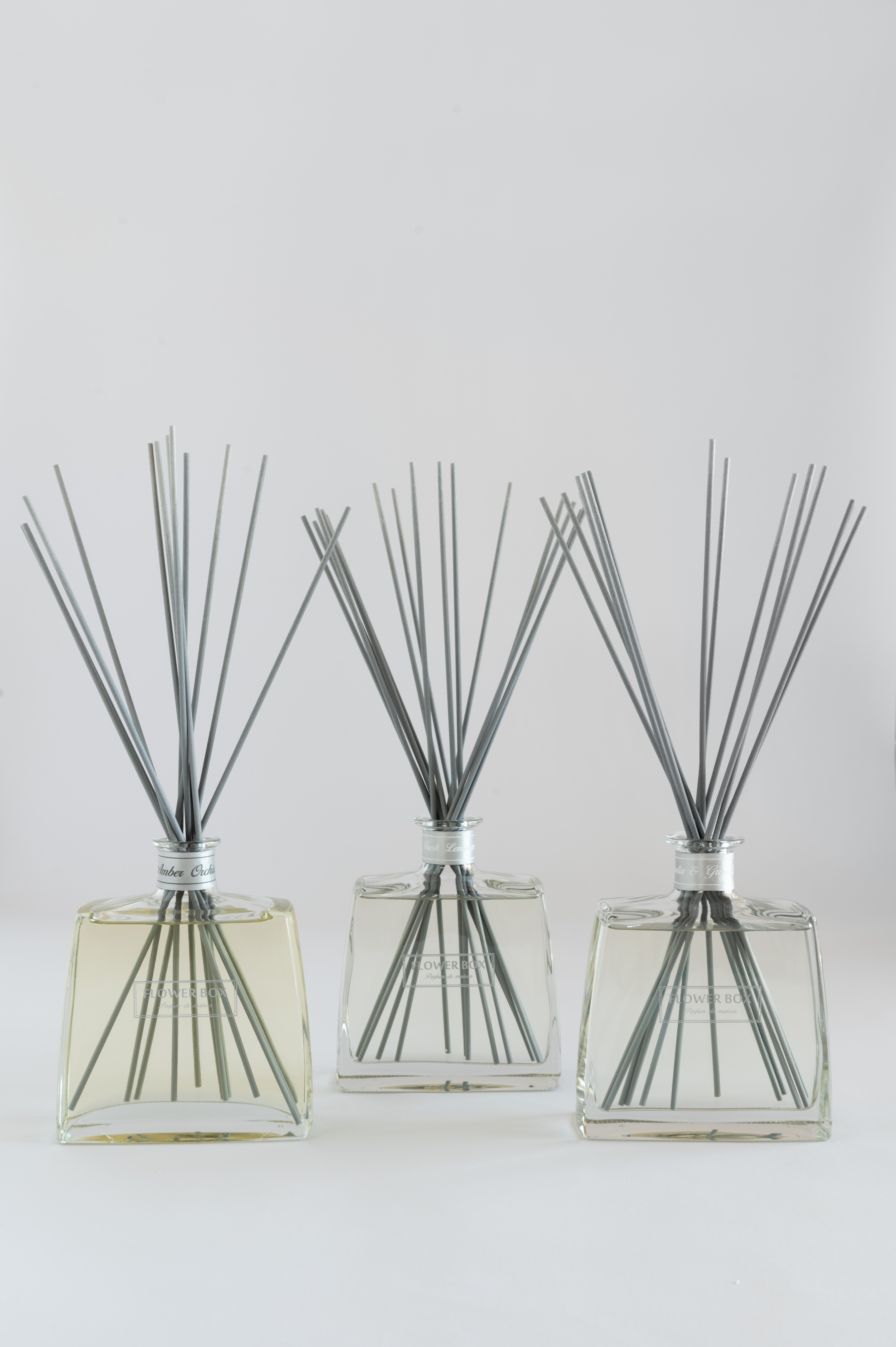 The Hallmark Diffuser Collection - 8 Fragrances + Premium Diffuser Refill