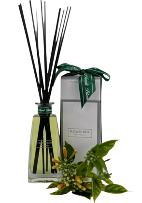NEROLI BLOOM BRONZE WHOLESALE PACKAGE XMAS 2025