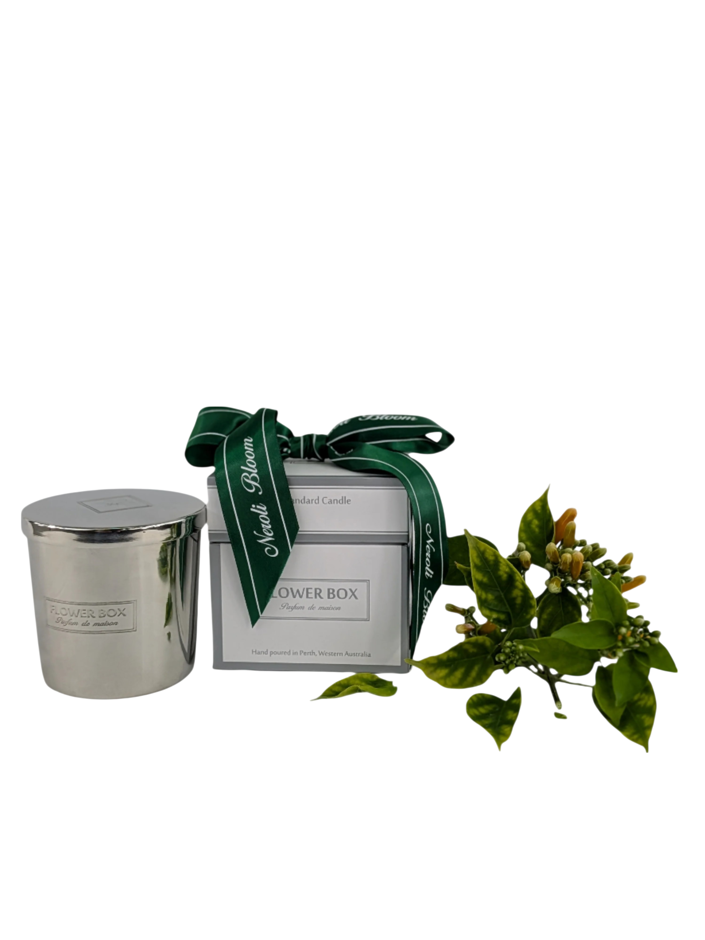 NEROLI BLOOM BRONZE WHOLESALE PACKAGE XMAS 2025