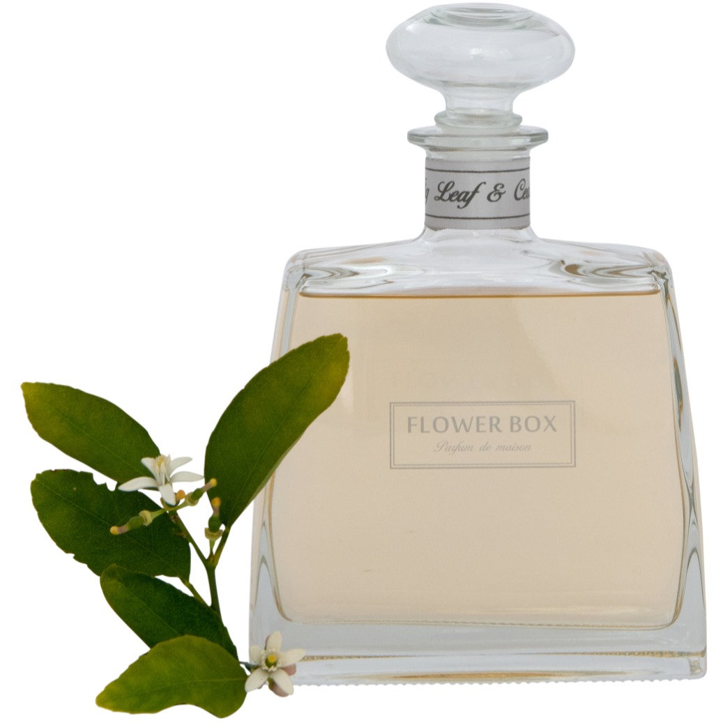 Mother's Day Core Product Wholesale  Package 2026