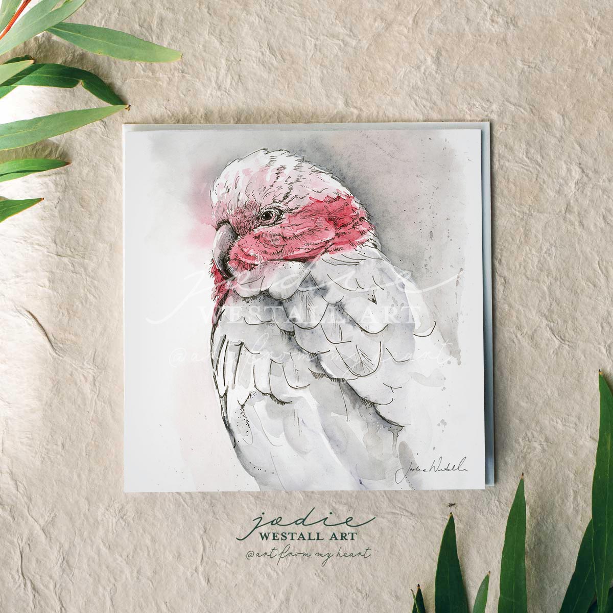 'Galah Sketch' - Artist Greeting Card