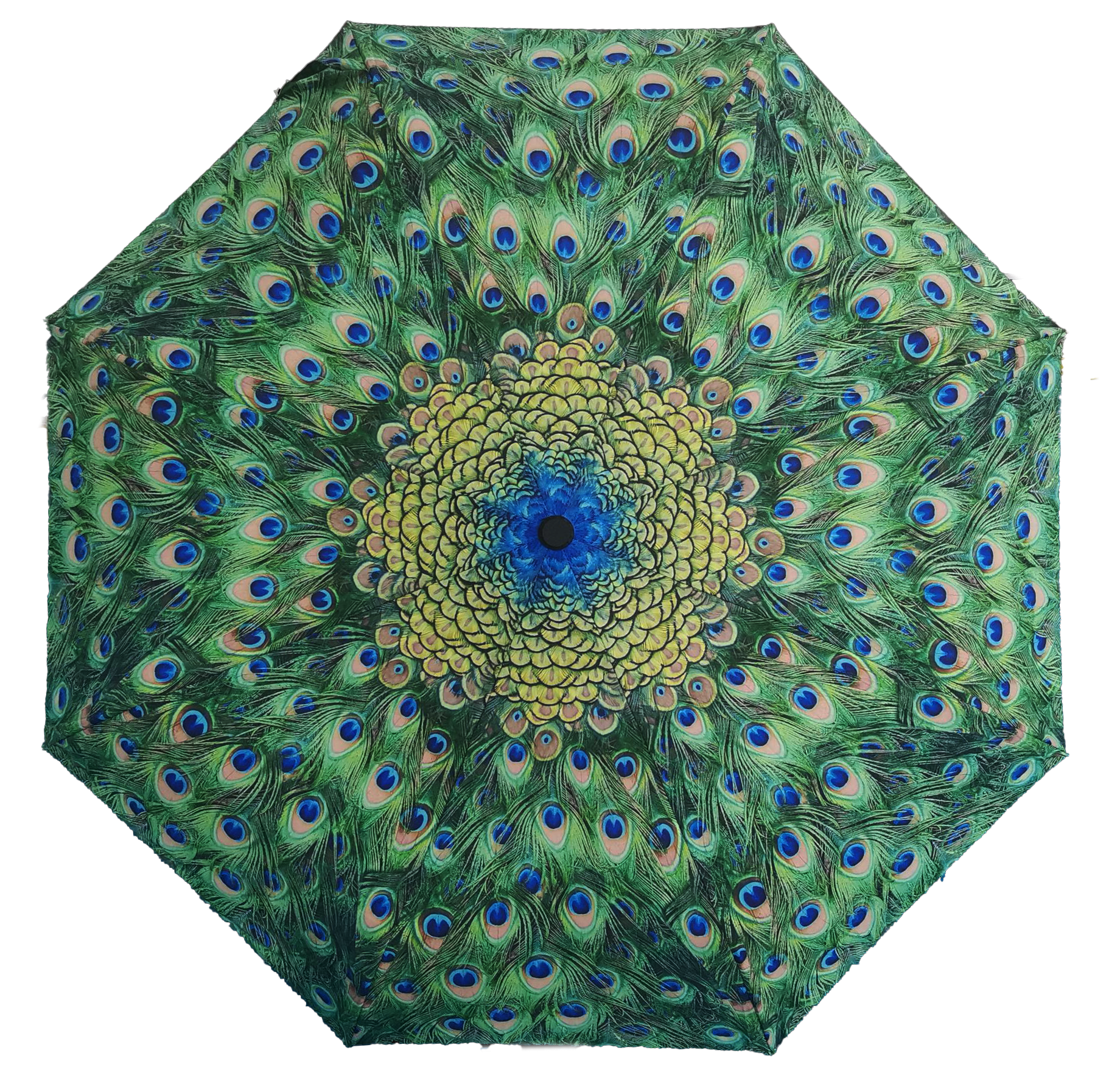 Umbrella - Peacock Feathers