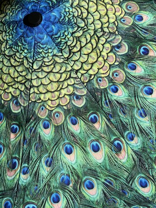 Umbrella - Peacock Feathers