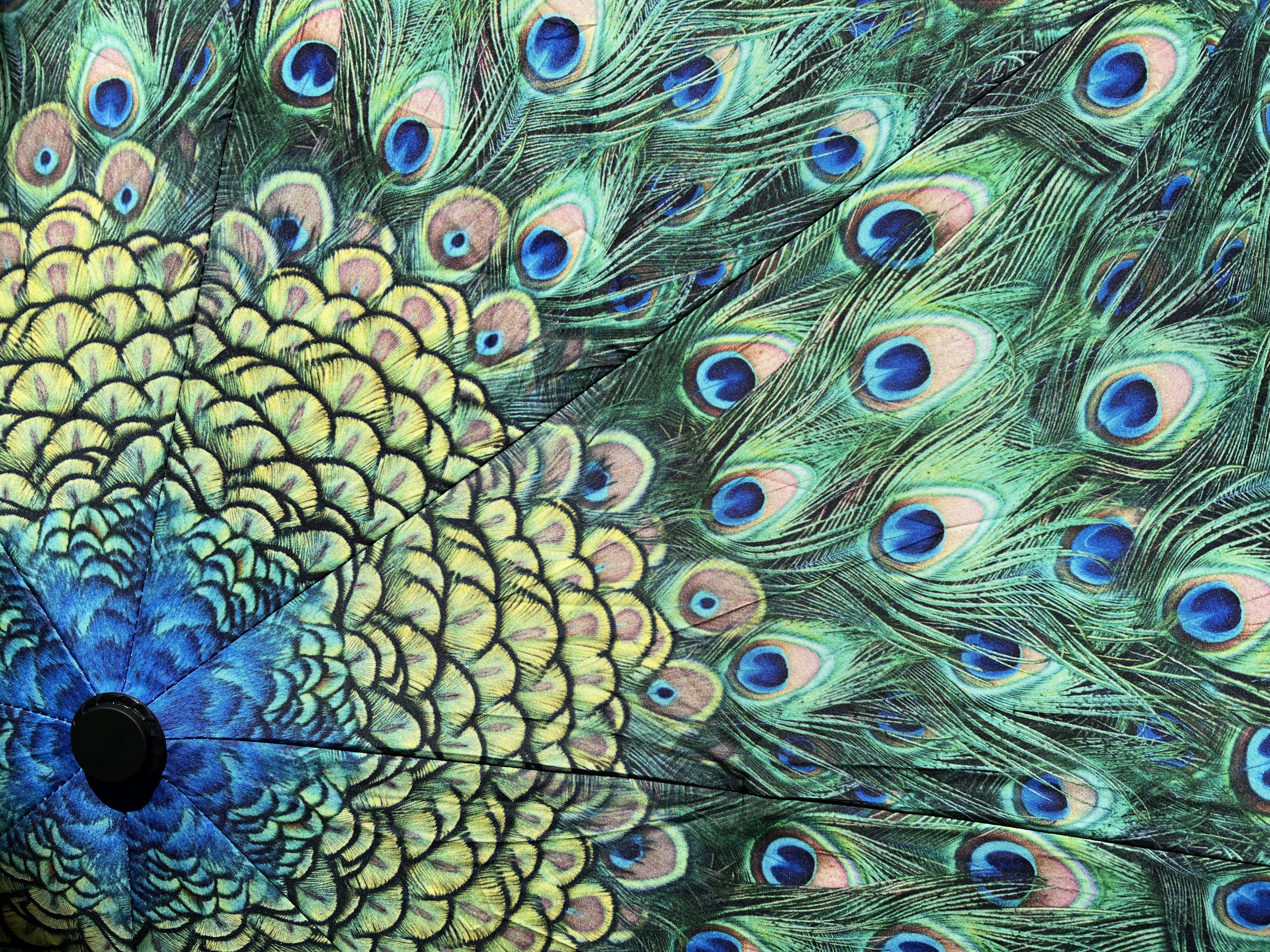 Umbrella - Peacock Feathers