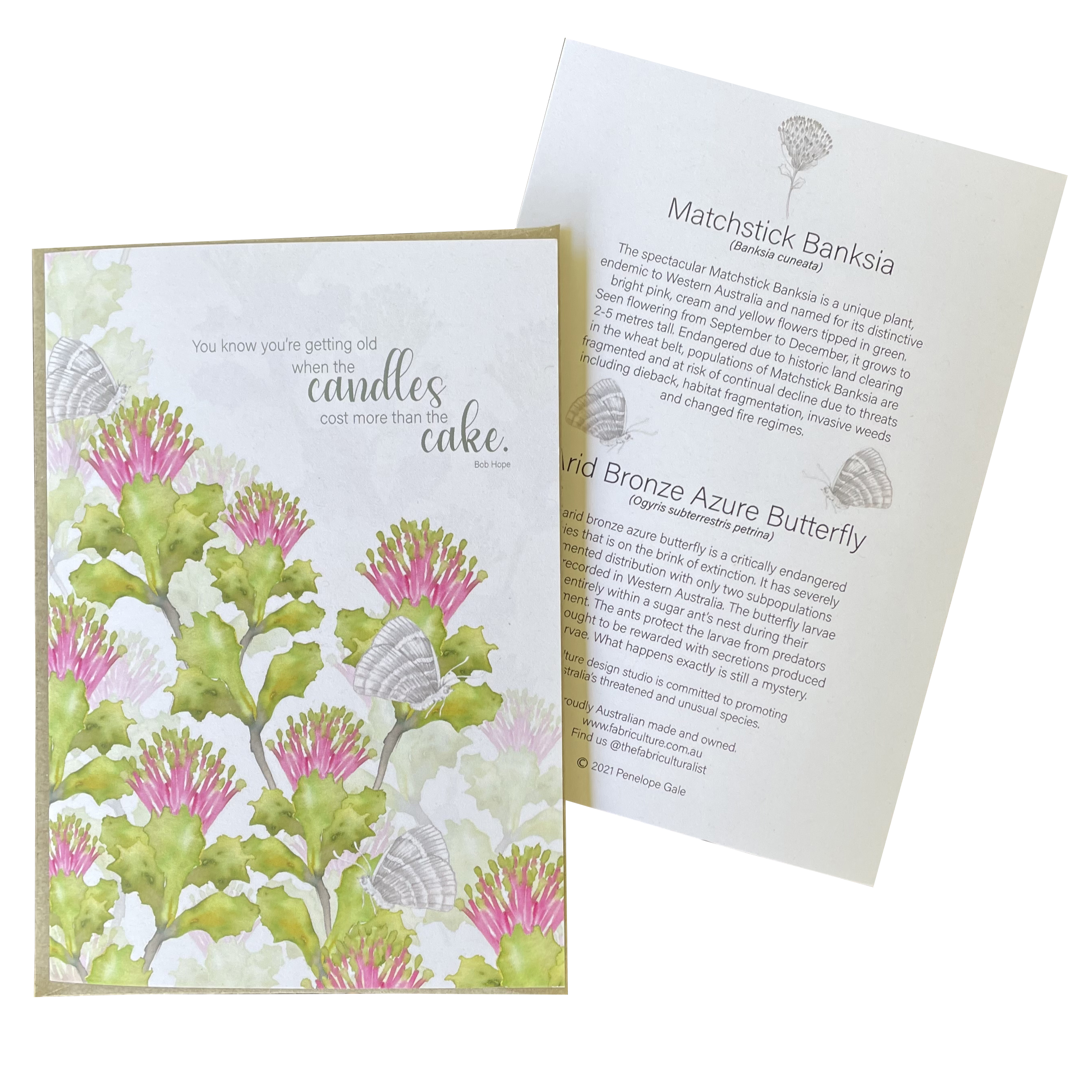 MATCHSTICK BANKSIA FLORAL GREETING CARD