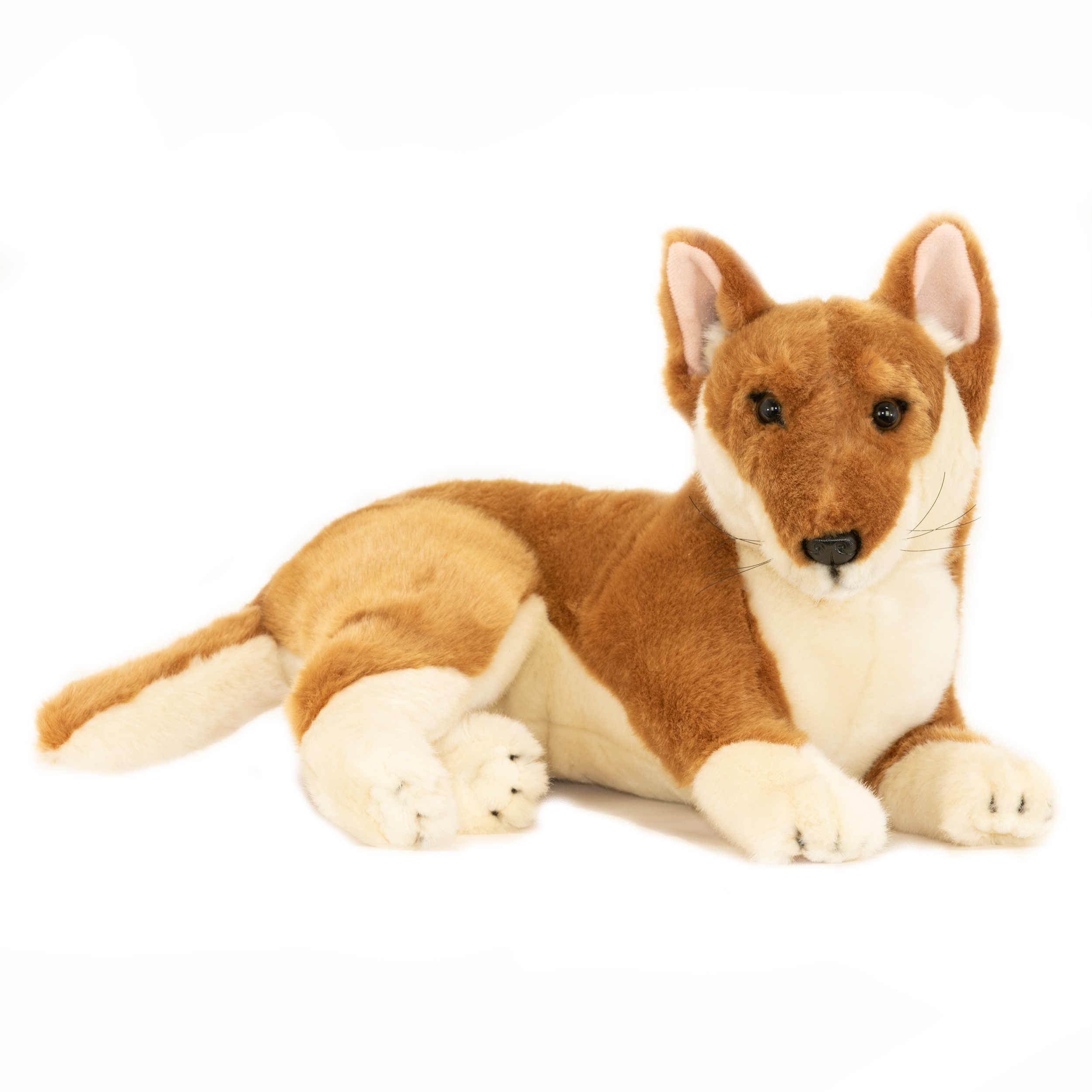 Nelly - Tan Australian Dingo Size 40cm/15.7"