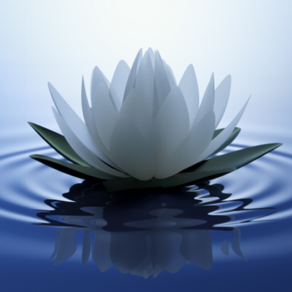 White Lotus Refill Room Spray