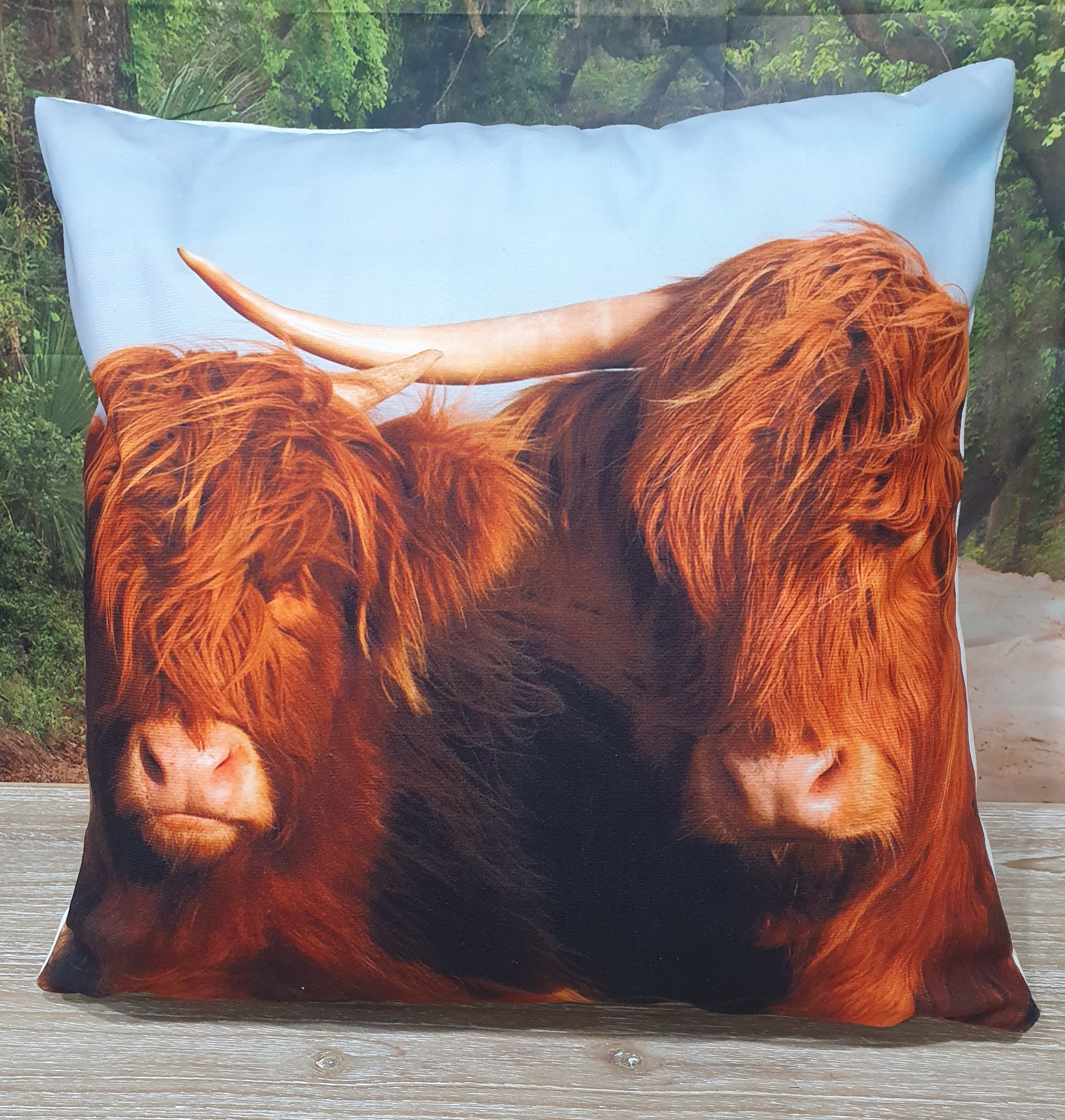 Highland Cow Cushion Cover #8
