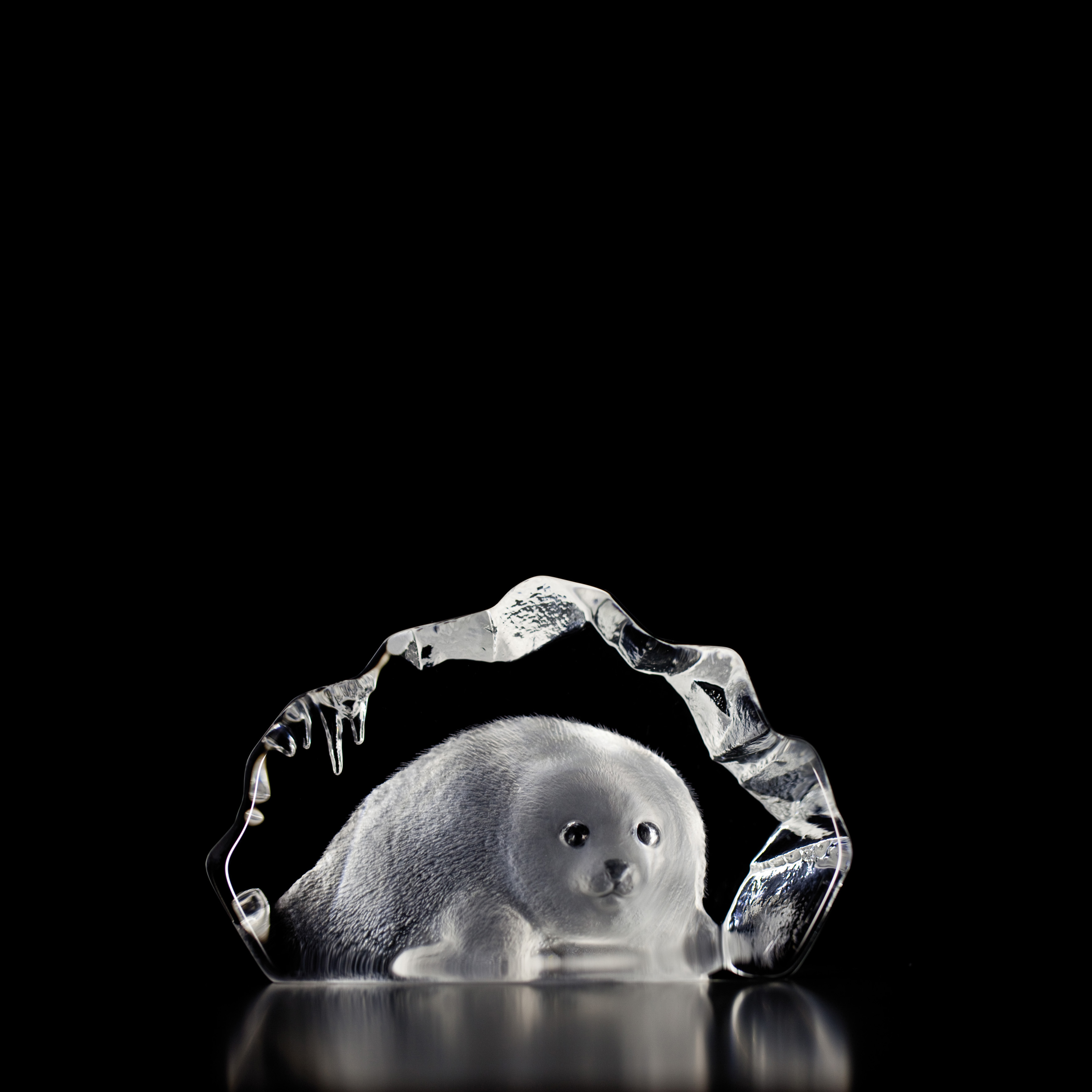 Baby Seal Large