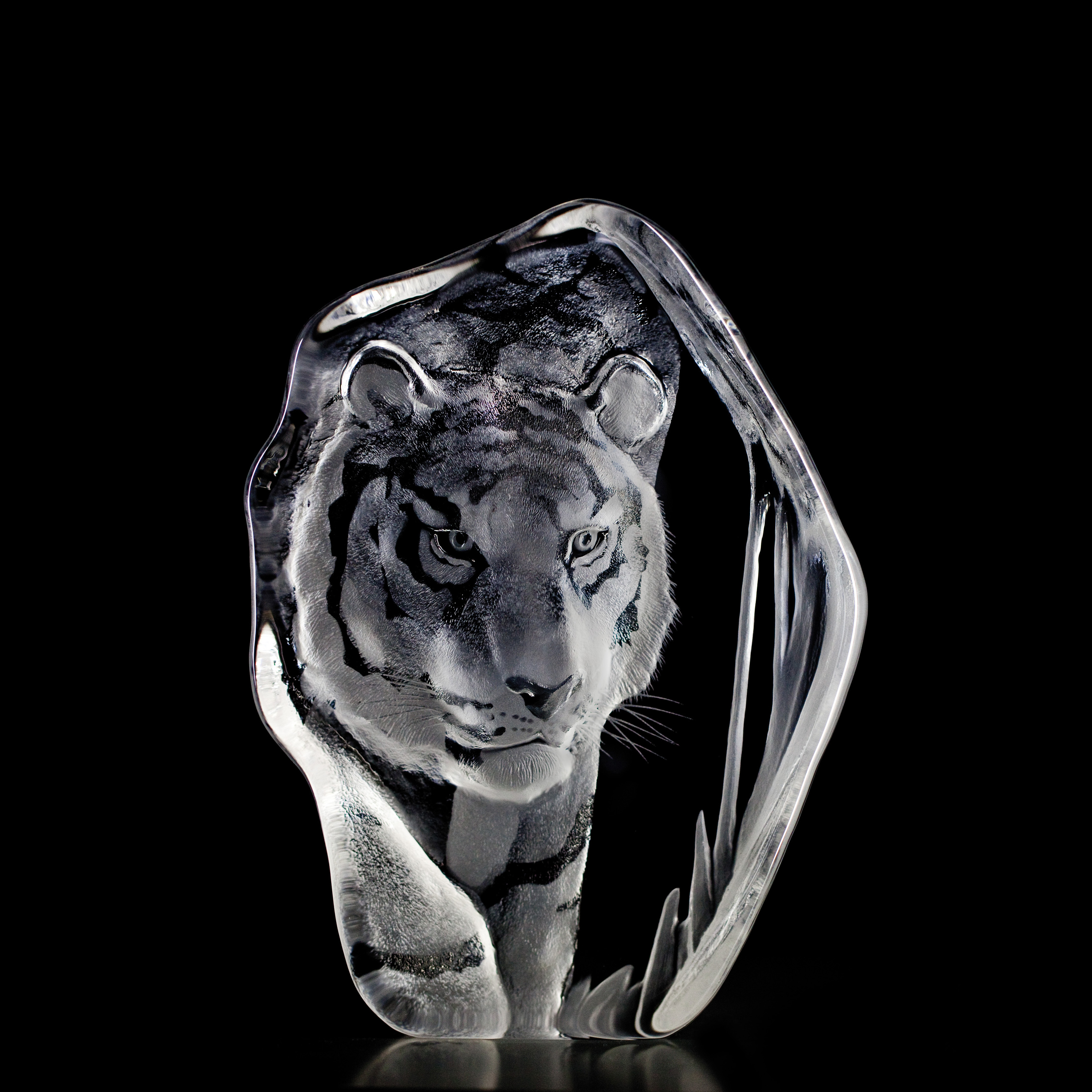 Tiger Large