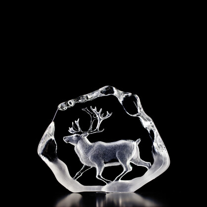 Reindeer, Large