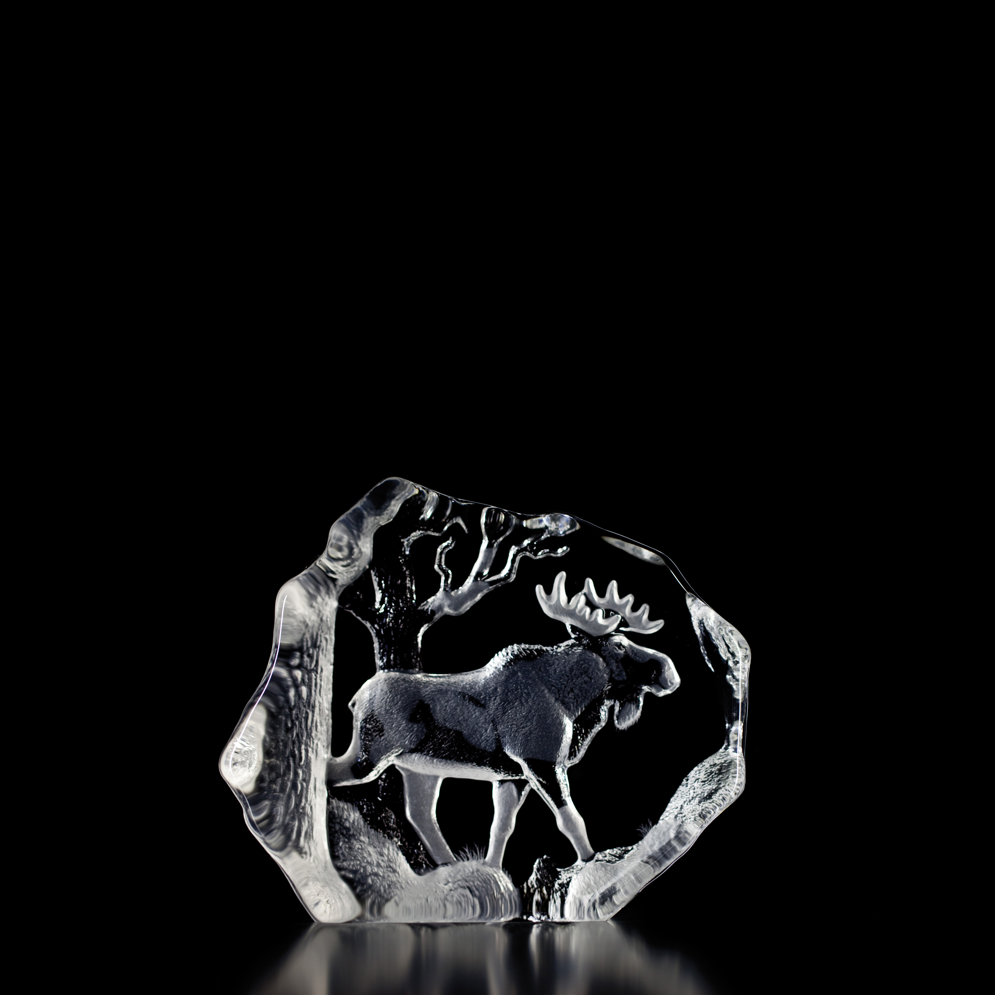 Moose Clear, Large