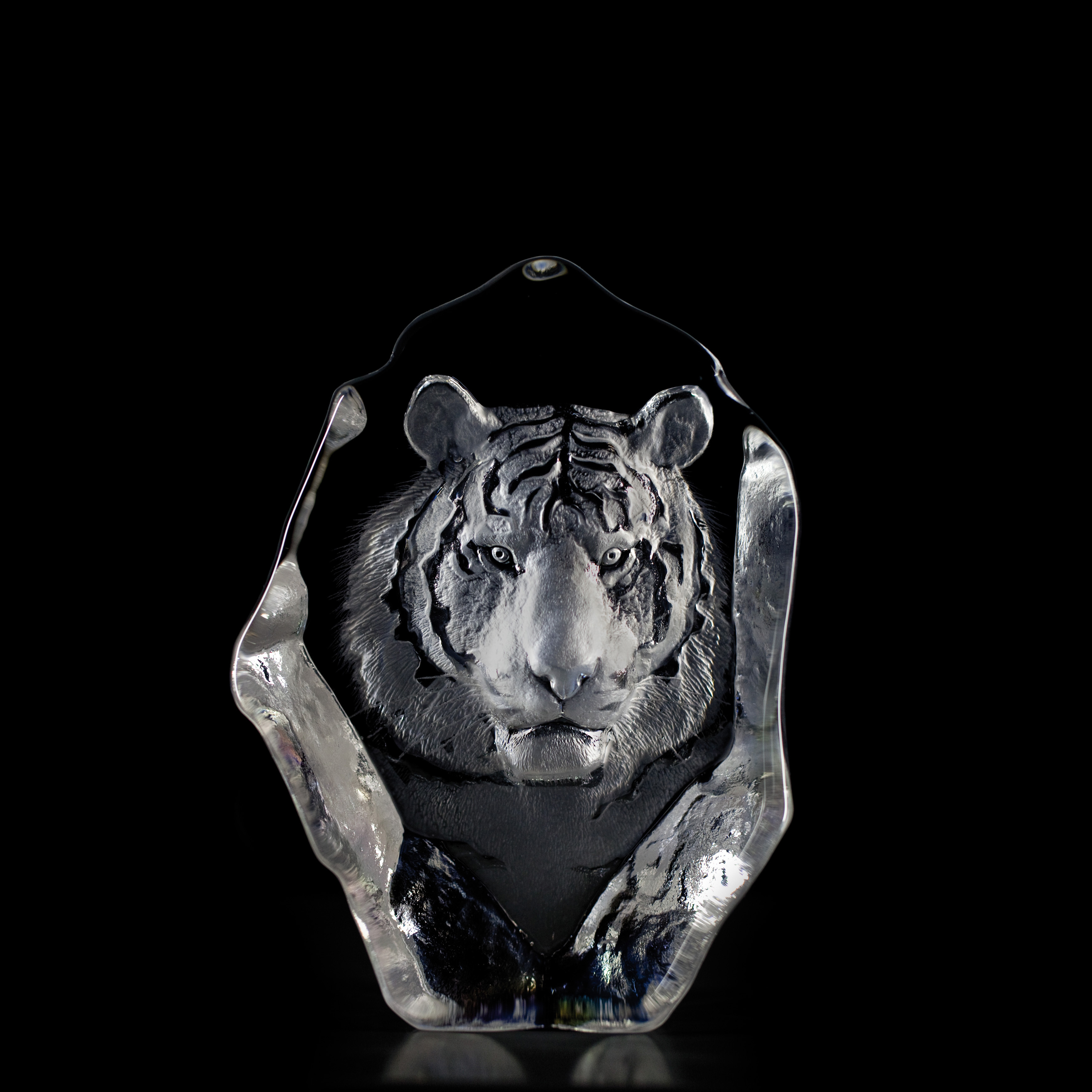 Tiger Medium