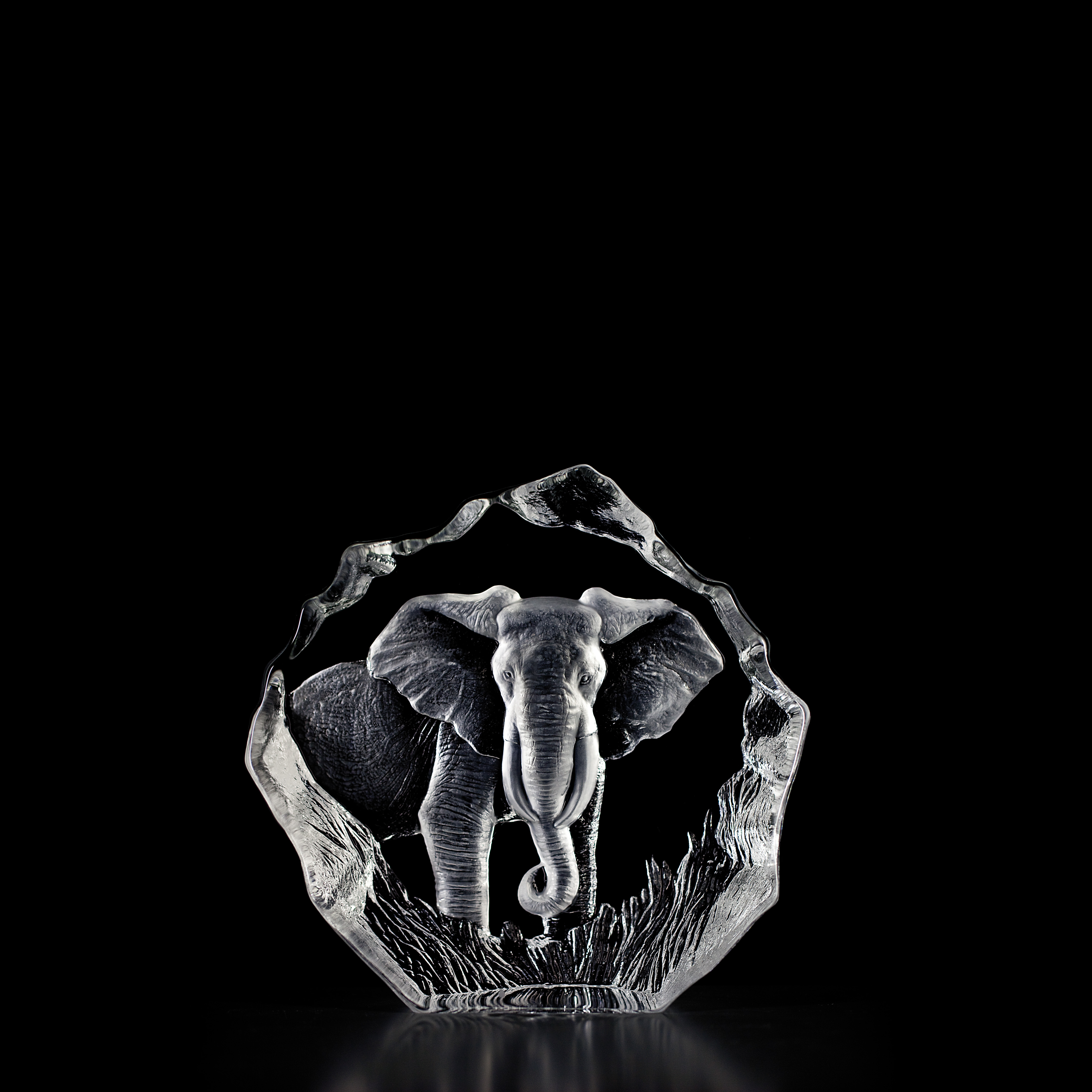Elephant Clear, Large