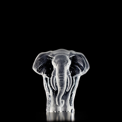 Elephant Clear, Medium