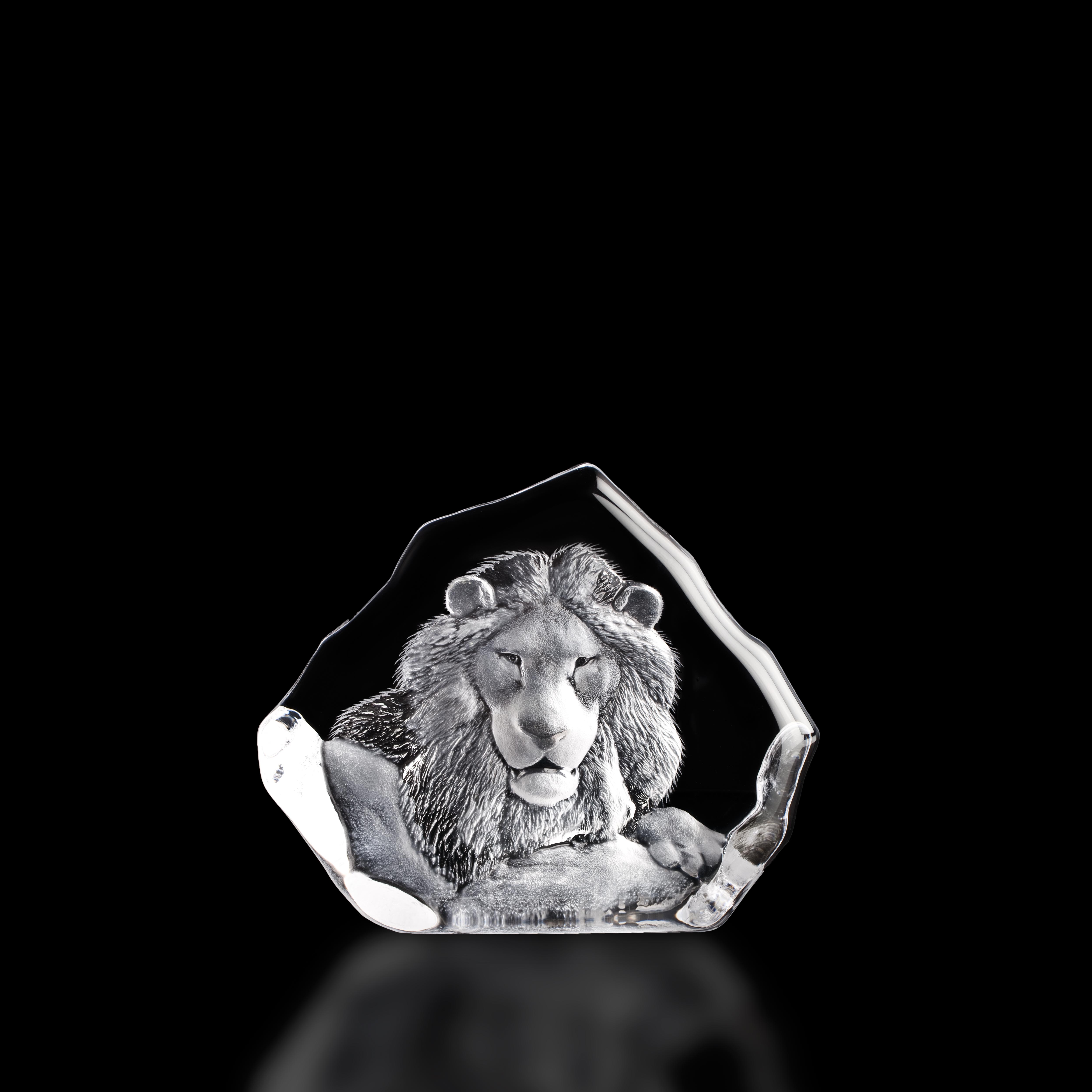 Lion Head