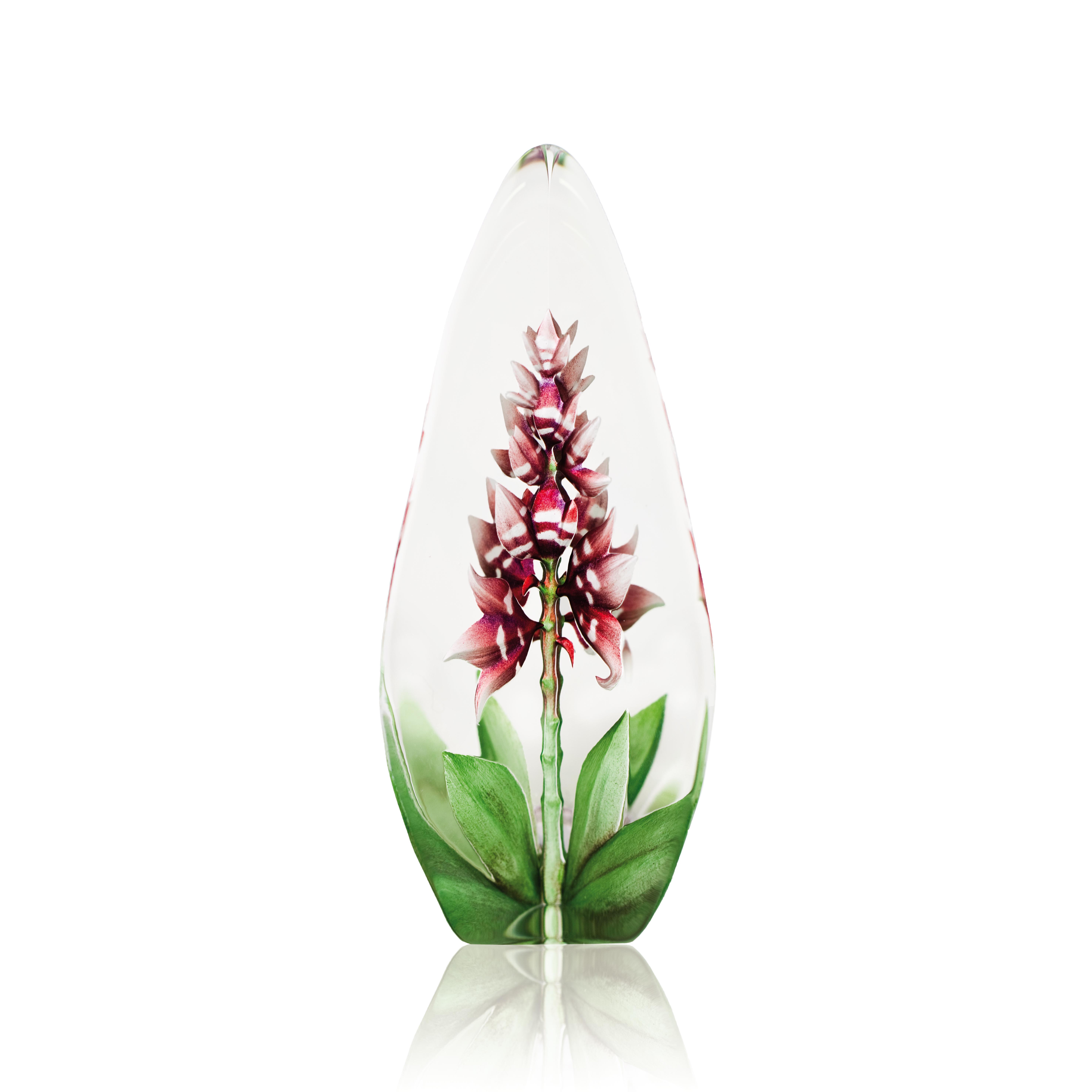 Orchid, Red, Large