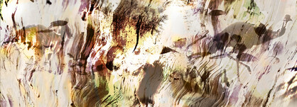 SILK CHIFFON SCARF: Aussie Bush Mates