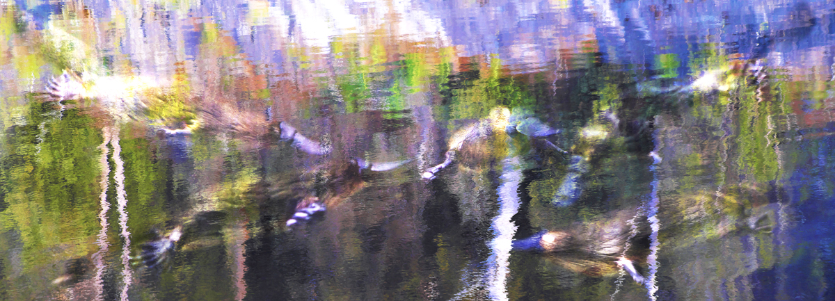 SILK CHIFFON SCARF: Platypus Magic