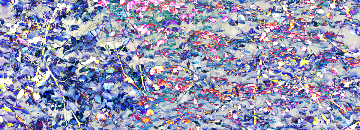 SILK CHIFFON SCARF: Cloudehill Seasons