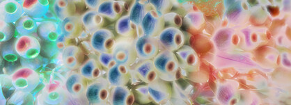 SILK CHIFFON SCARF: Gumnuts
