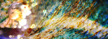 SILK CHIFFON SCARF: Spiral Shell