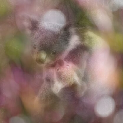 SILK TWILL MINI SCARF: Koala and Joey
