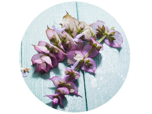 Clary Sage Labour & Postpartum Recovery Oil Roller 10ml