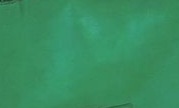 Mini Bucket Bag - Kelly Green