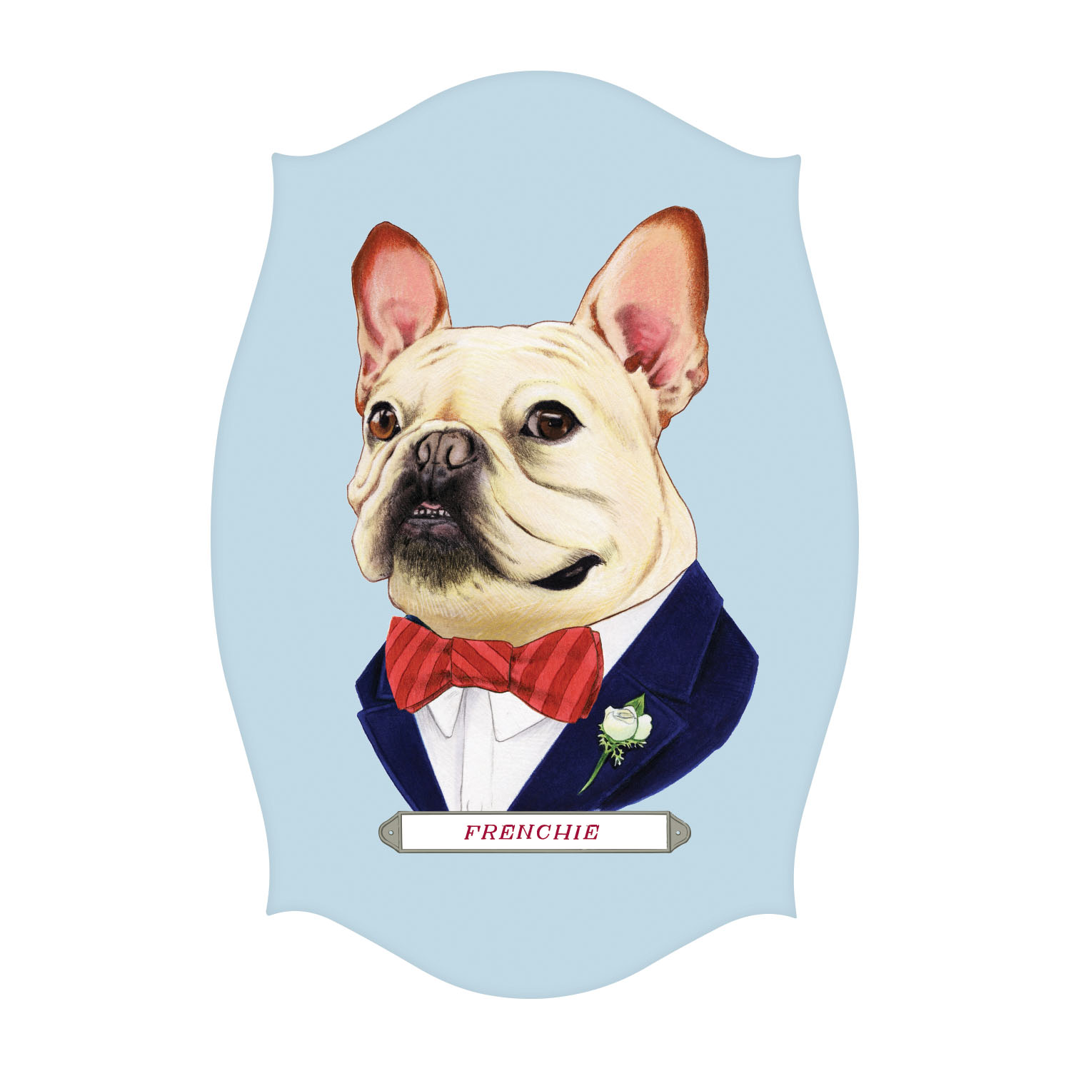 Berkley Bestiary Animal Portraits Memory