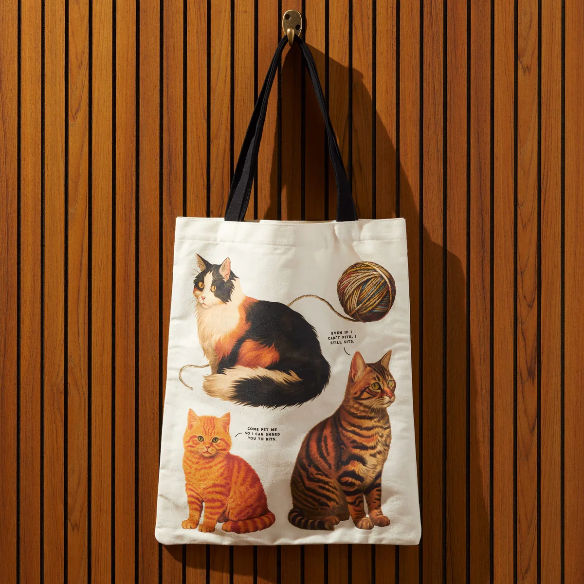 Moody Cats Canvas Tote Bag