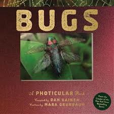 Bugs: A Photicular Book
