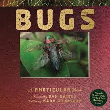 Bugs: A Photicular Book