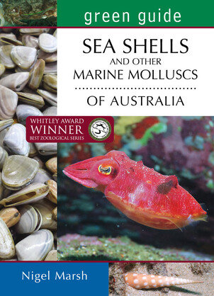 Sea Shells and other Marine Molluscs