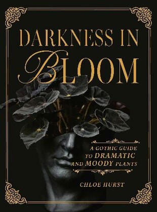 Darkness in Bloom