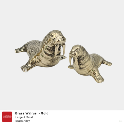 Walrus  Gold Large