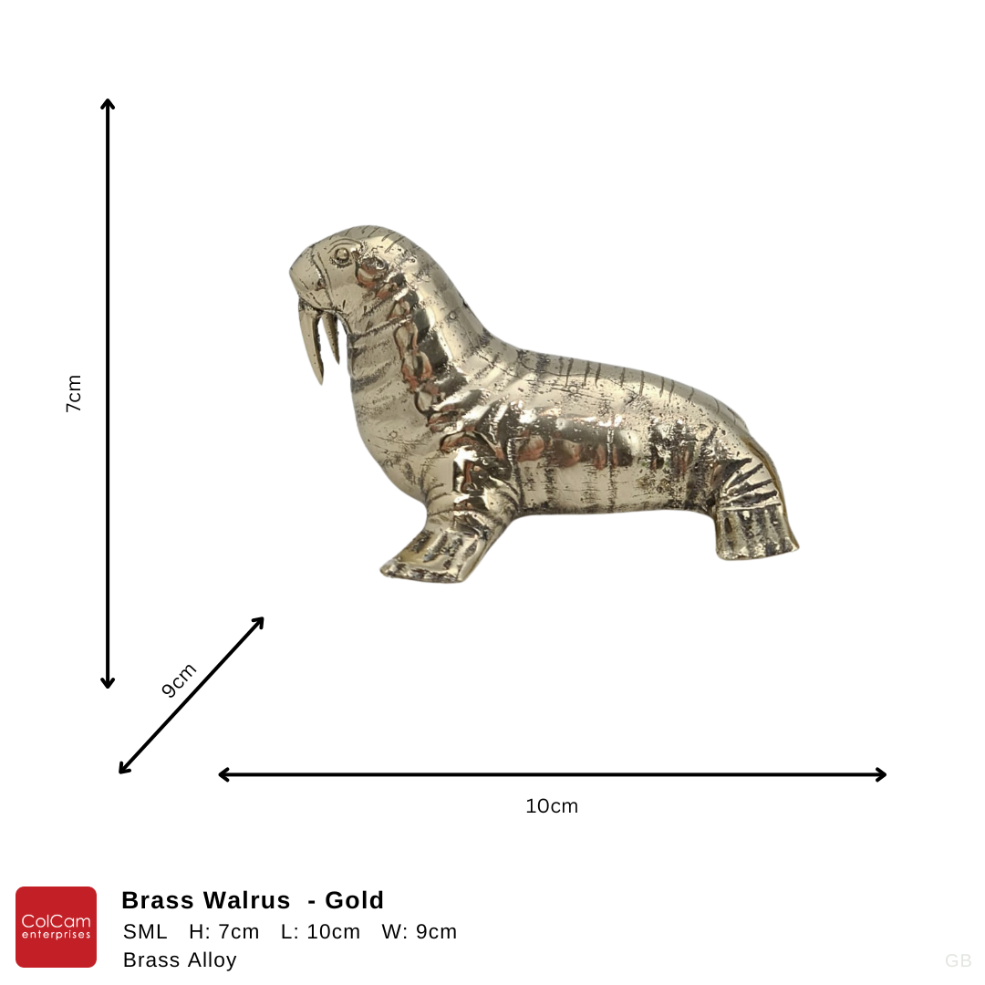 Walrus Gold Small
