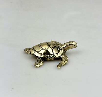 Turtle GLD XS
