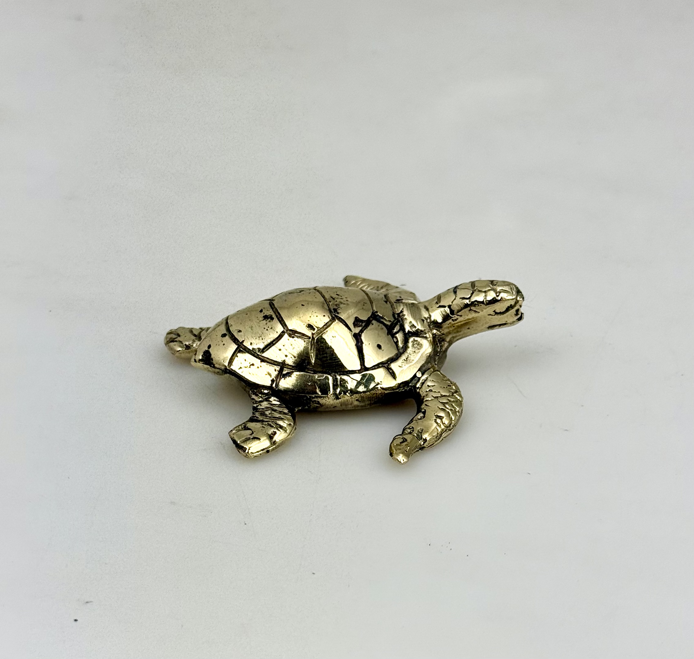 Turtle GLD XS