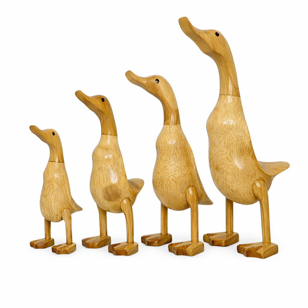 Duck Webbed Laquered Set of 4