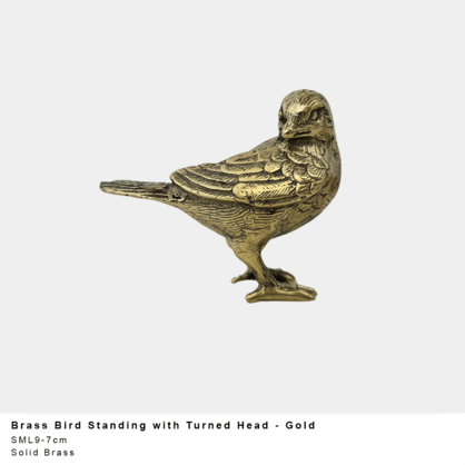 Bird Standing