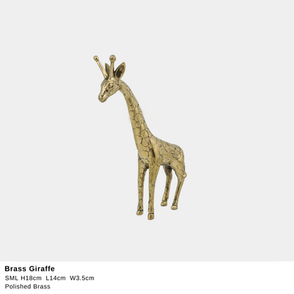 * Giraffe GL SML